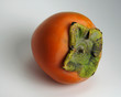 hachiya persimmon, calyx facing out