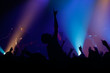 Live concert - the band and the crowd