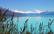 Lake Pukaki, Mount Cook, New Zealand