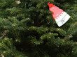 a price tag on a Fraser Fir Christmas tree