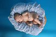 Foto: Baby Boy Blue Baby Boy Blue