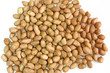 Peanuts Peanuts