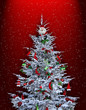 noel noel