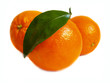 orange isolated on a white background prepared orange isolated on a white background prepared