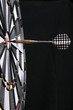 Dartscheibe Dartscheibe