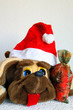 Fun Christmas dog