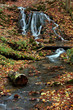 Waterfall in autumn
