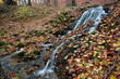 Waterfall in autumn