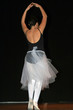 ballet world