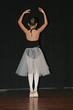 ballet world