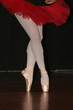 ballet world