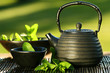 Black iron asian teapot with sprigs of mint for tea Black iron asian teapot with sprigs of mint for tea