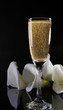 champagne