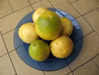 Maracujá Früchte