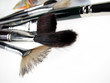 Close up to different types of paint brushes