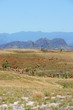expedition dans la savane africaine