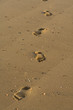footprints