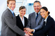 Handshake and teamwork