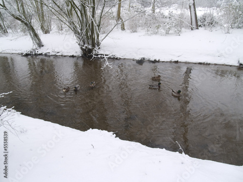 Foto: Winterlandschaft Winterlandschaft