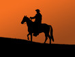 Cawboy