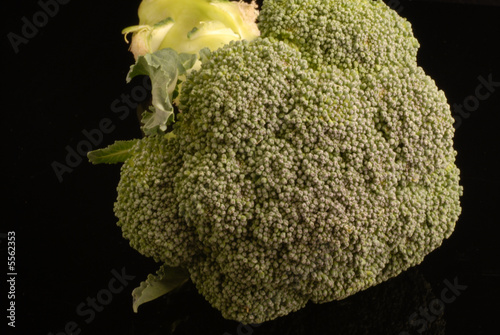 broccolo broccolo