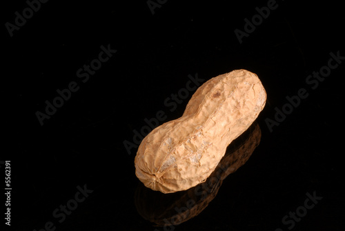 arachide arachide