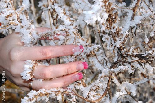 Photo: Nailsdesign - Frost Nailsdesign - Frost
