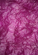 Fuchsia Backround-69