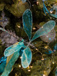 Dragonfly Christmas Ornament