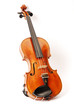 Violine