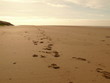 Footprints On Blackpool Beach
