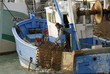 Bateau de pêche