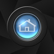 Home button