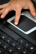 The laptop