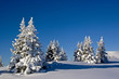 Ein winterlicher Sonnentag in Oberbayern