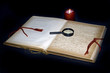 Das Buch