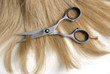 schere - Haare