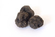 truffes