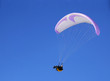 paraglider
