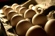 Chicken Grade AA Eggs