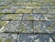 Old Slate Roof