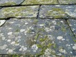 Slate roof Slate roof