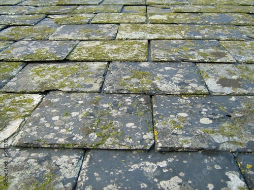 Old Slate Roof Old Slate Roof