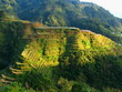 Banaue Rice Terraces 2 Banaue Rice Terraces 2