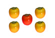 kaki rot