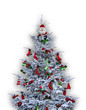 sapin sapin