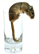 drink with... gerbil