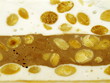 französisches weiches nougat mit trockenfrüchten und nüssen
