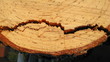 breaking wood
