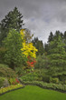 The green lawn surrounded by flower beds The green lawn surrounded by flower beds